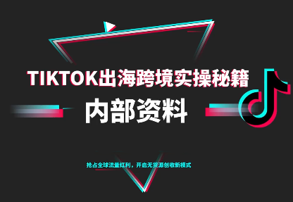 TikTok跨境电商0-1搭建运营(更新10月)-财流引擎