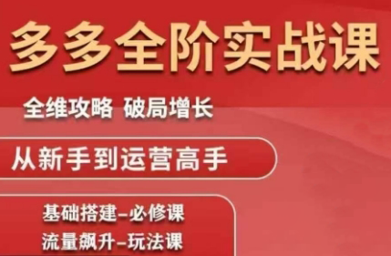 大炮·拼多多全阶实战课程(更新10月)-财流引擎