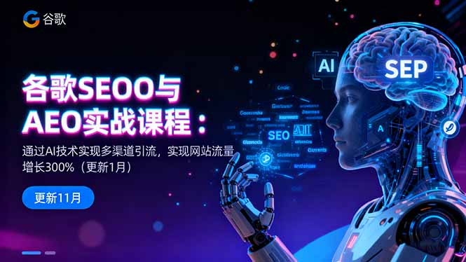 谷歌SEO与AEO实战课程:通过AI技术实现多渠道引流,实现网站流量增长300%-财流引擎