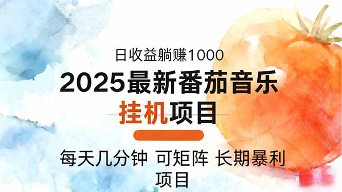 2025年最新番茄音乐人挂机项目，每天几分钟，月入1000＋，可矩阵，一台...-财流引擎
