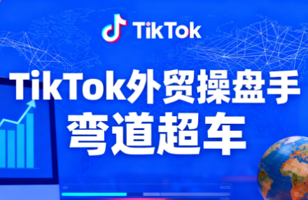 TikTok外贸操盘手(更新11月)-财流引擎