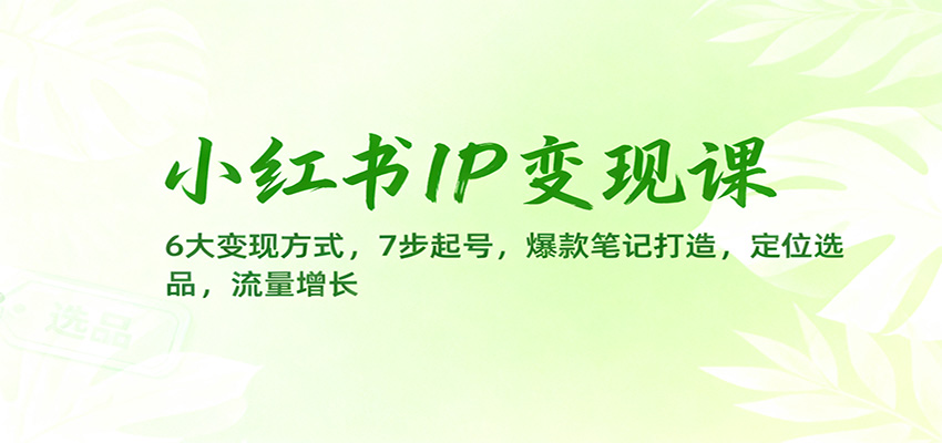 小红书IP变现课：6大变现方式，7步起号，爆款笔记打造，定位选品，流量增长-财流引擎